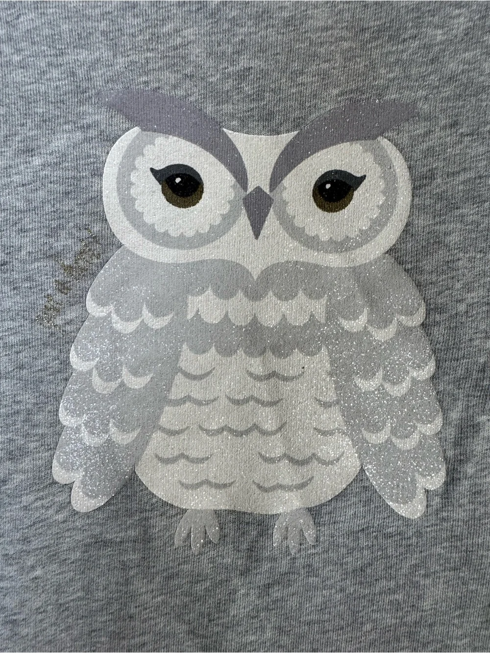 Kate Spade Broome Street Owl Sweatshirt Gray Cotton Pullover Ooh La La Medium